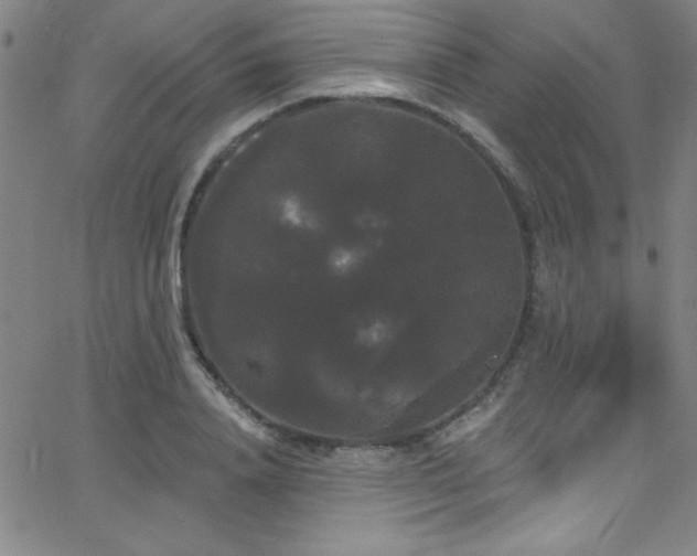 X0000068770840200604281236