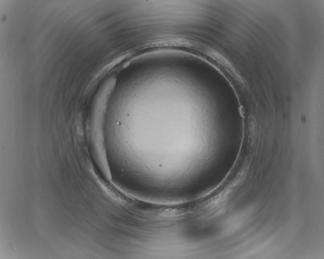 X0000068770841200604281236