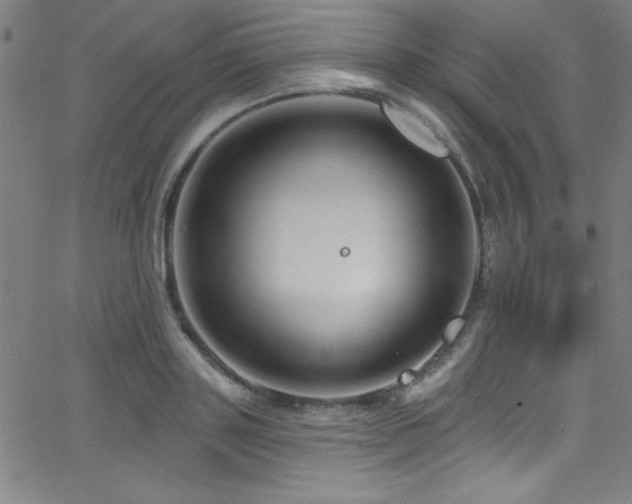 X0000068770843200604281236