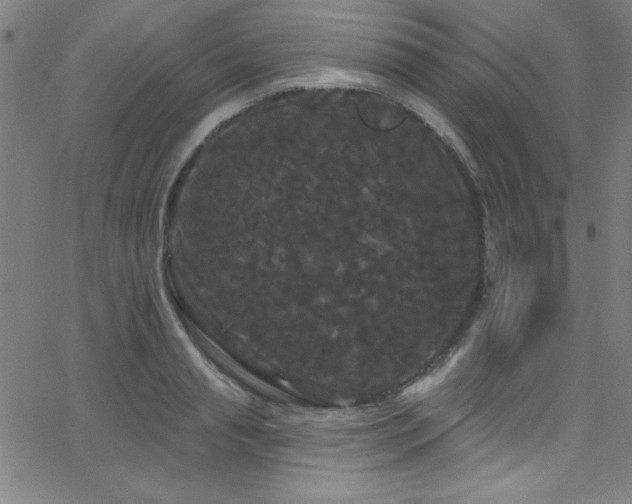 X0000068770845200604281236