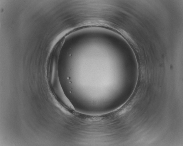 X0000068770846200604281236