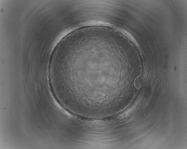 X0000068770847200604281236