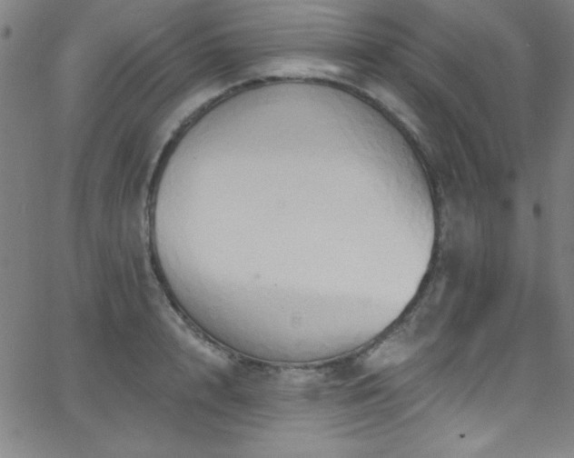 X0000068770848200604281236