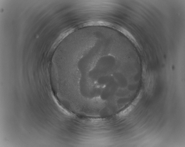 X0000068770849200604281236