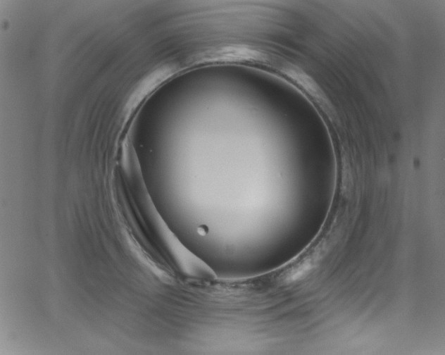 X0000068770850200604281236