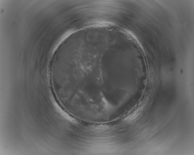 X0000068770851200604281236