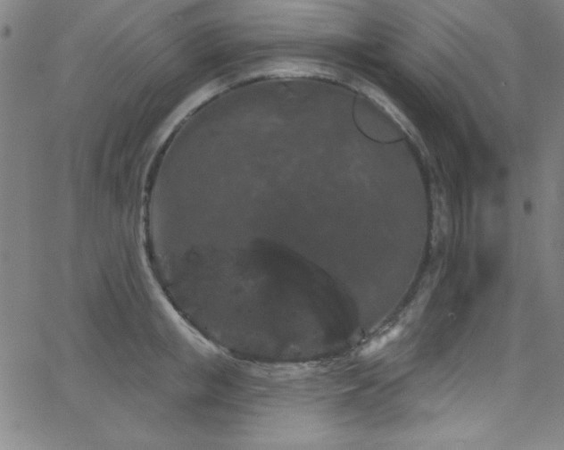 X0000068770853200604281236