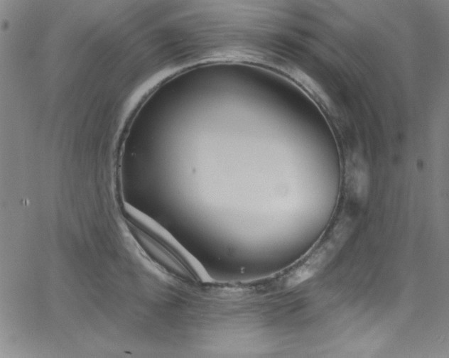 X0000068770854200604281236