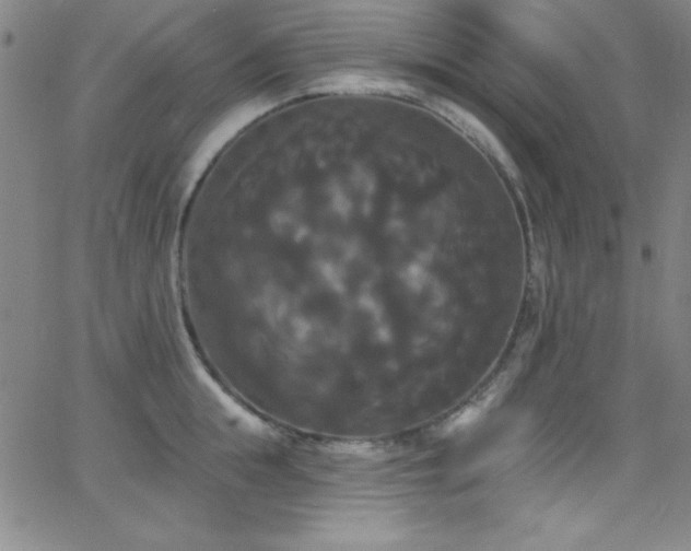 X0000068770855200604281236