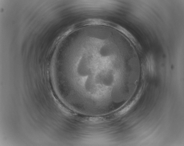 X0000068770857200604281236