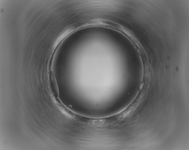 X0000068770858200604281236