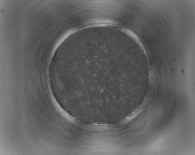 X0000068770859200604281236