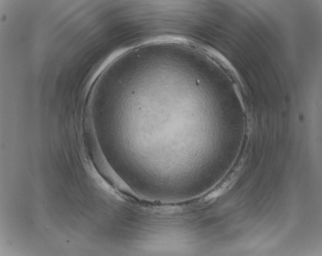 X0000068770860200604281236