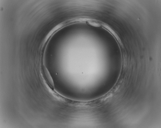 X0000068770861200604281237