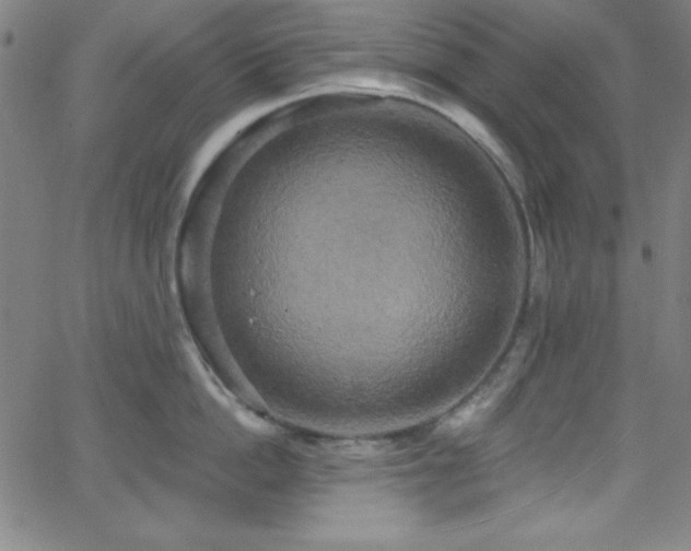 X0000068770862200604281237