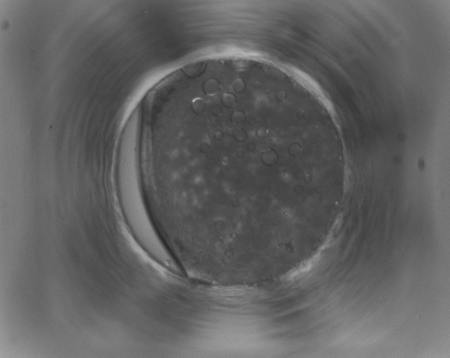 X0000068770863200604281237