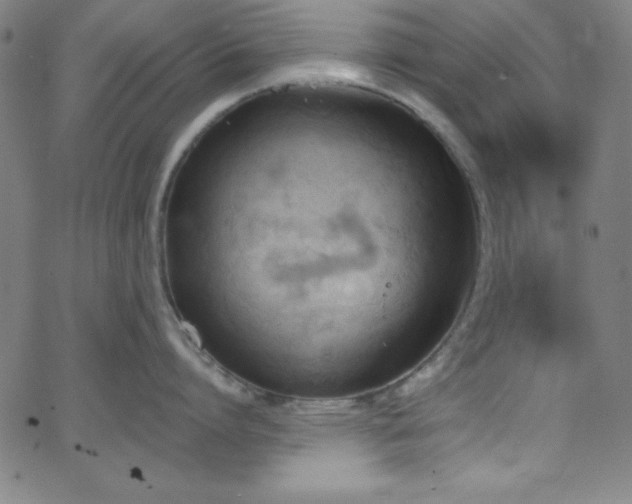 X0000068770864200604281237