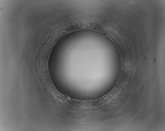 X0000068770865200604281236