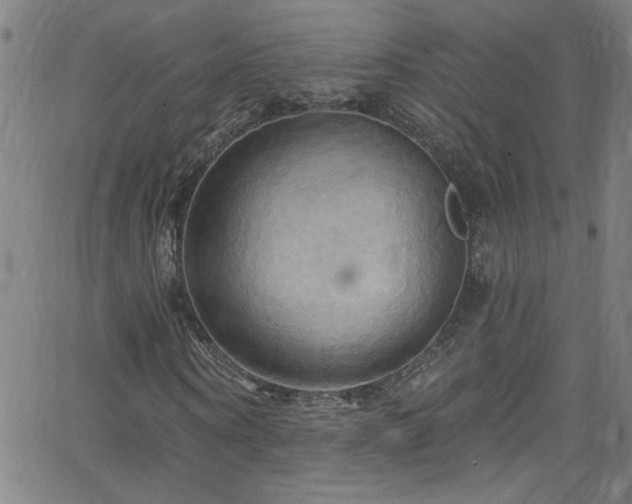 X0000068770866200604281236