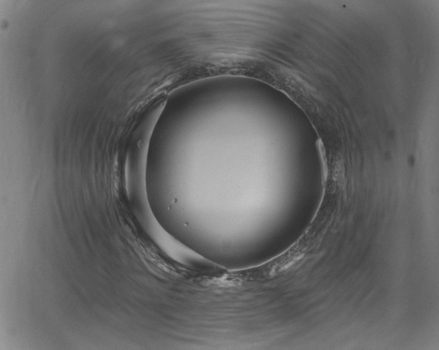 X0000068770868200604281236