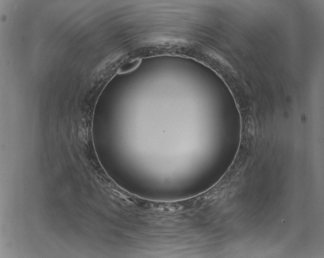 X0000068770869200604281236