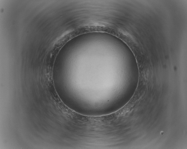 X0000068770870200604281236