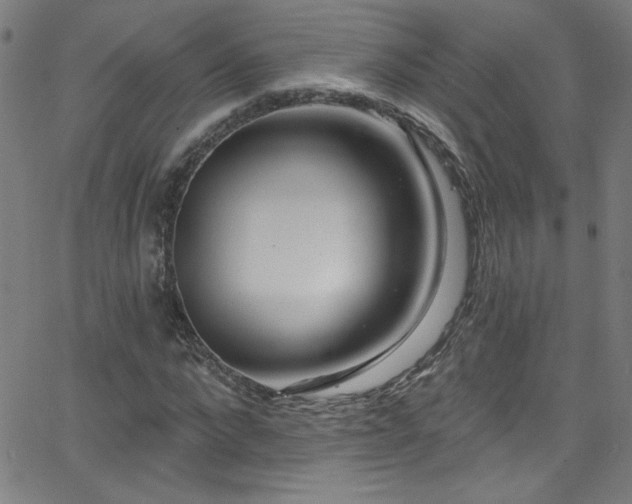 X0000068770872200604281236