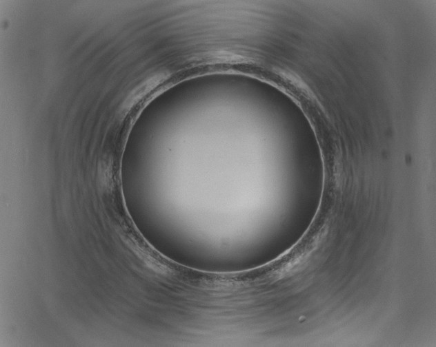 X0000068770873200604281236