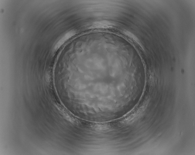 X0000068770874200604281236