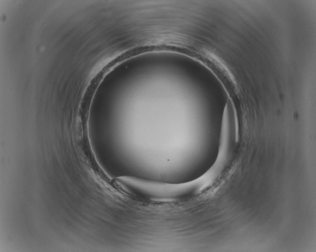 X0000068770876200604281236