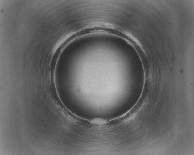 X0000068770877200604281236