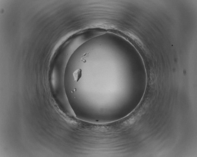 X0000068770880200604281236