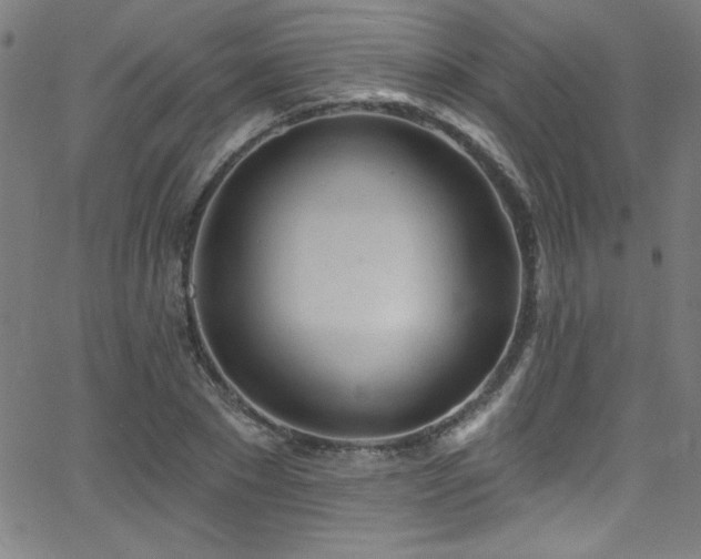 X0000068770881200604281236