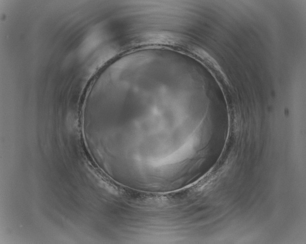 X0000068770882200604281236