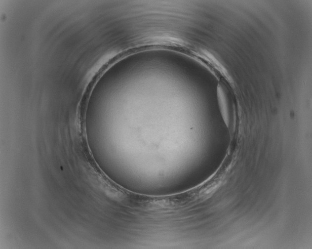 X0000068770883200604281235