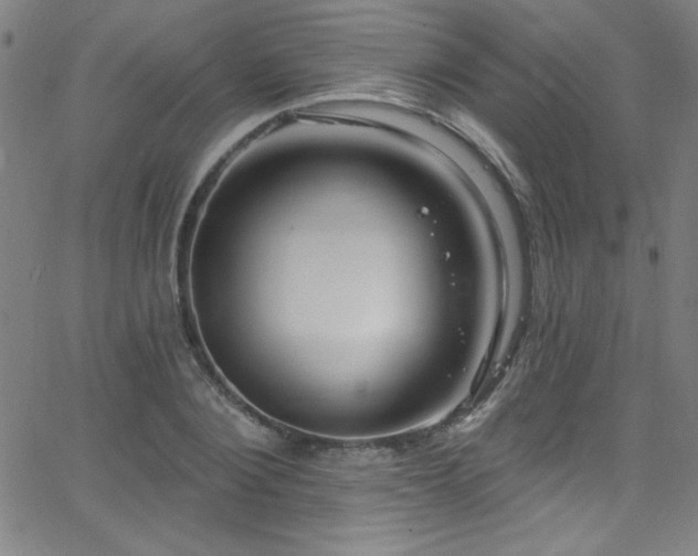 X0000068770884200604281235