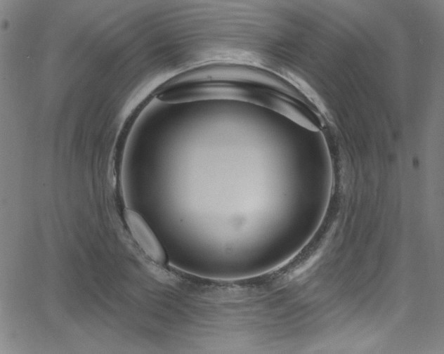 X0000068770885200604281235