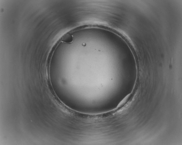 X0000068770887200604281235