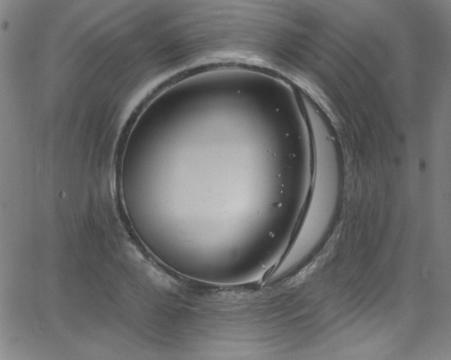 X0000068770888200604281235