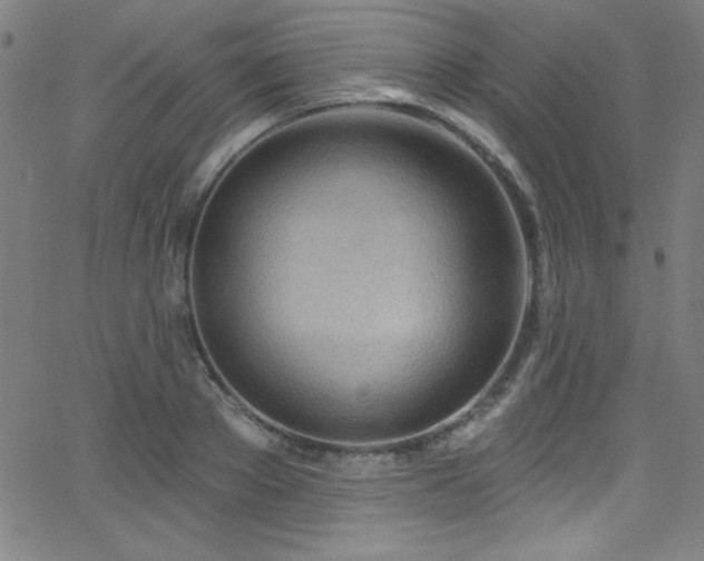 X0000068770889200604281235