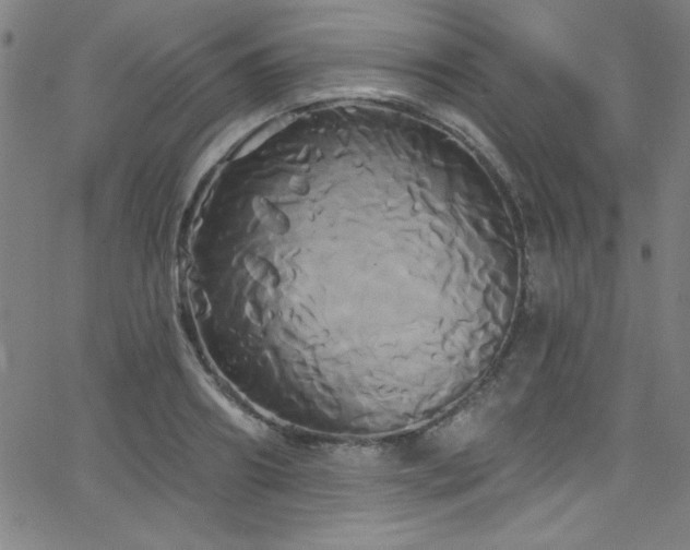 X0000068770890200604281235