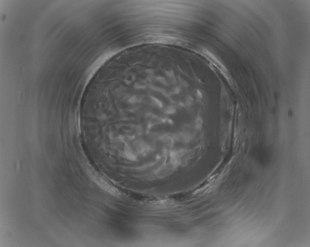 X0000068770891200604281235