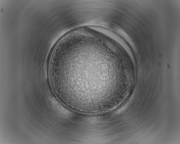 X0000068770892200604281235