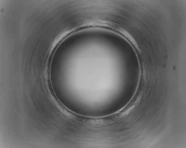 X0000068770893200604281235