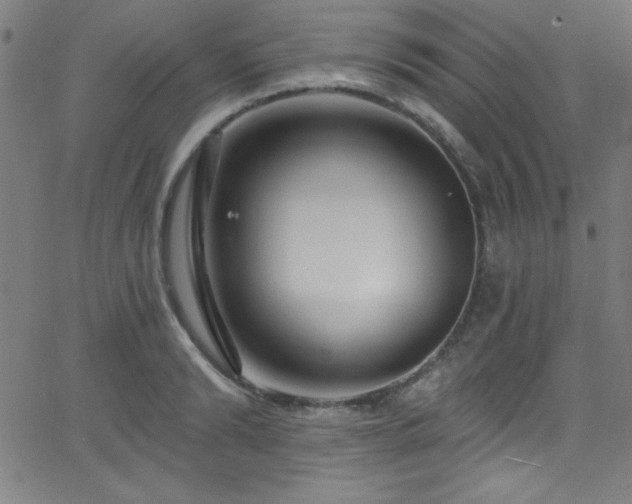 X0000068770894200604281235