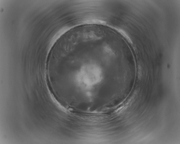 X0000068770895200604281235