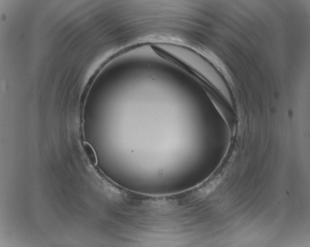 X0000068770896200604281235