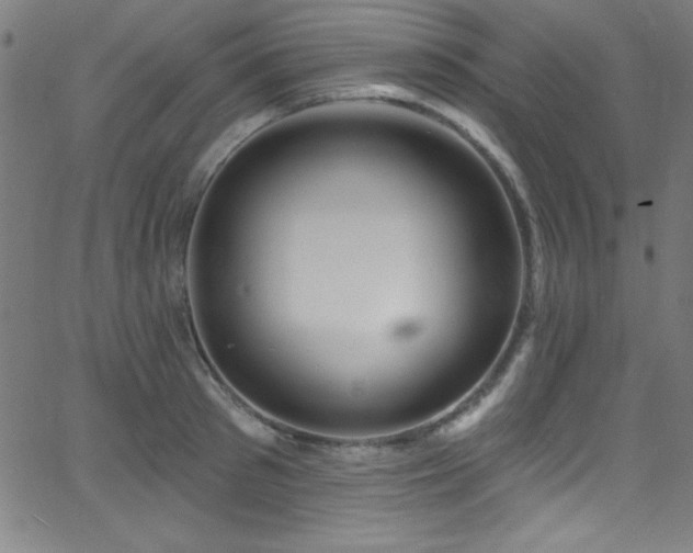 X0000068770897200604281235