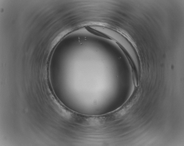 X0000068770898200604281235