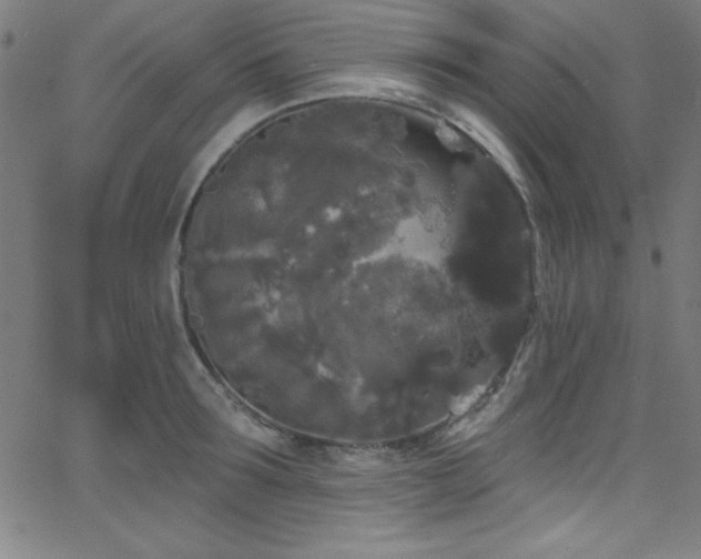 X0000068770899200604281235